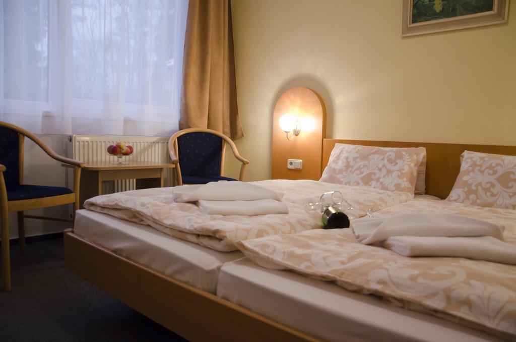 Hotel Zatisi Františkovy Lázně חדר תמונה