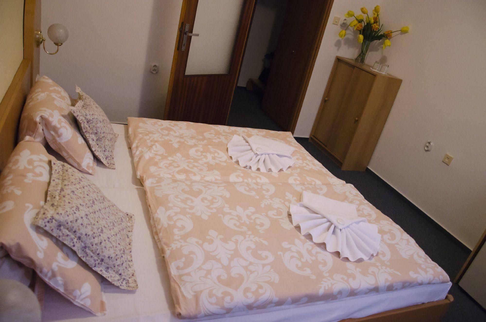 Hotel Zatisi Františkovy Lázně מראה חיצוני תמונה